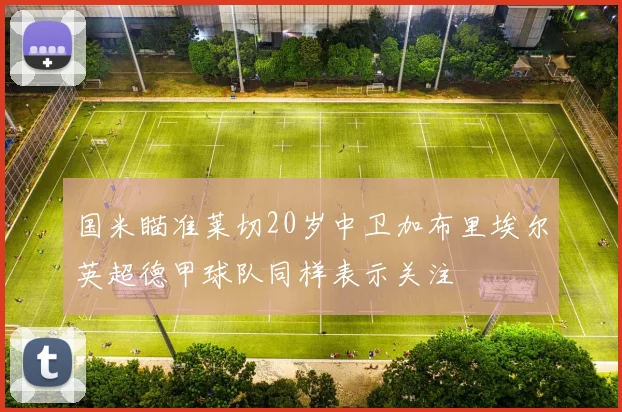国米瞄准莱切20岁中卫加布里埃尔英超德甲球队同样表示关注